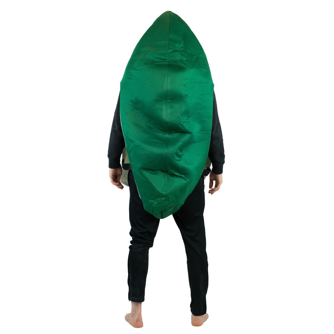 Costume da Avocado